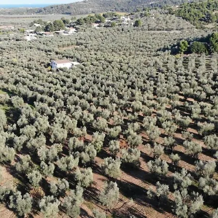 Le Macine Penzion Vieste